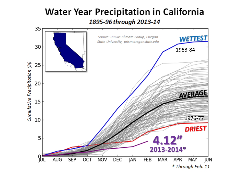 Water Year Precipitation in California