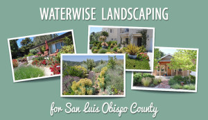 Waterwise Landscaping SLO